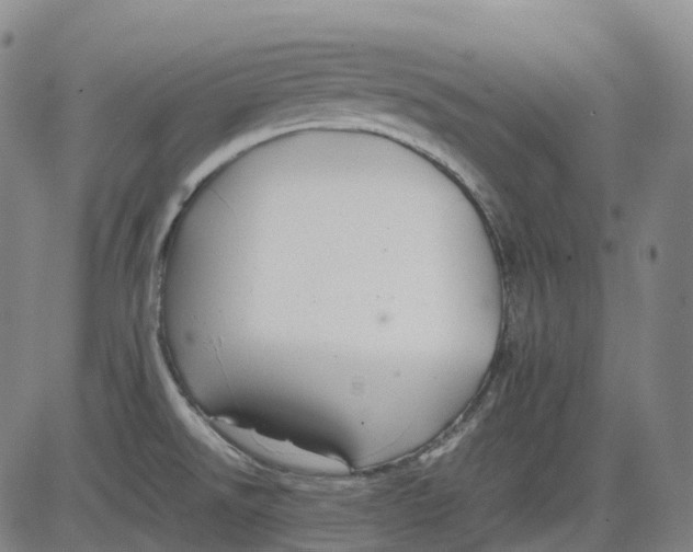 X0000083561526200702231550