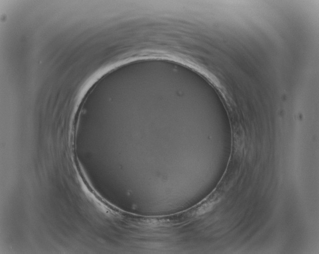 X0000083561527200702231550