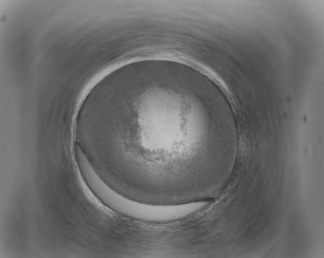 X0000083561528200702231550