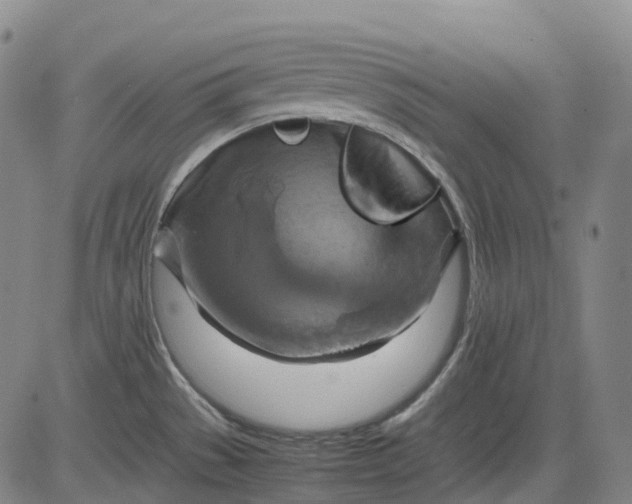 X0000083561529200702231550