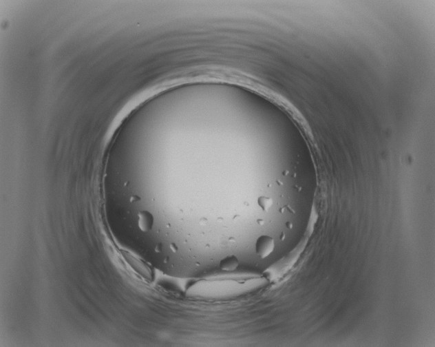 X0000083561530200702231550