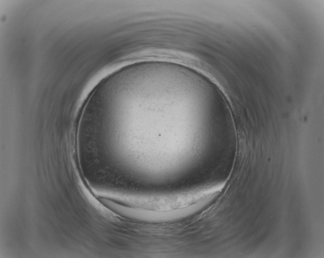 X0000083561531200702231550