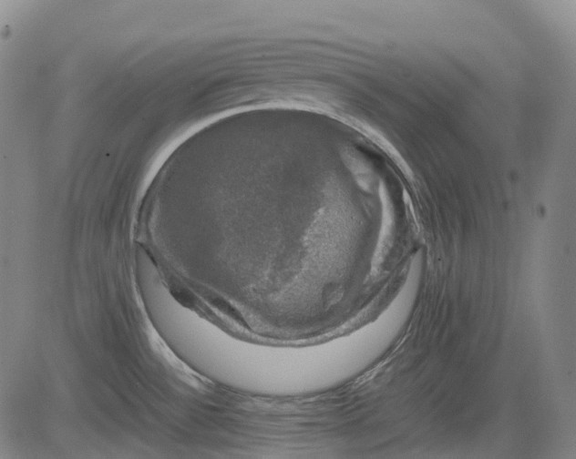 X0000083561532200702231550