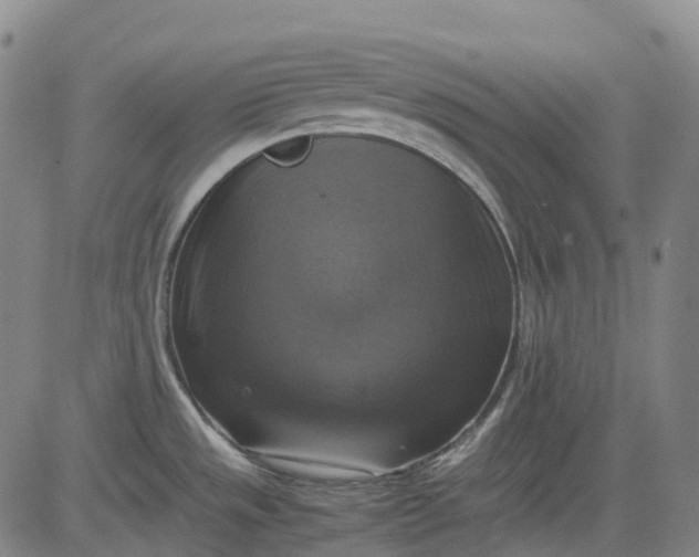 X0000083561533200702231550