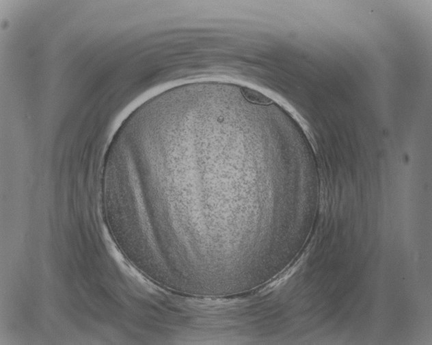 X0000083561534200702231550