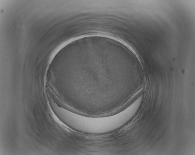 X0000083561535200702231550