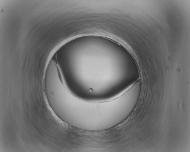 X0000083561536200702231550