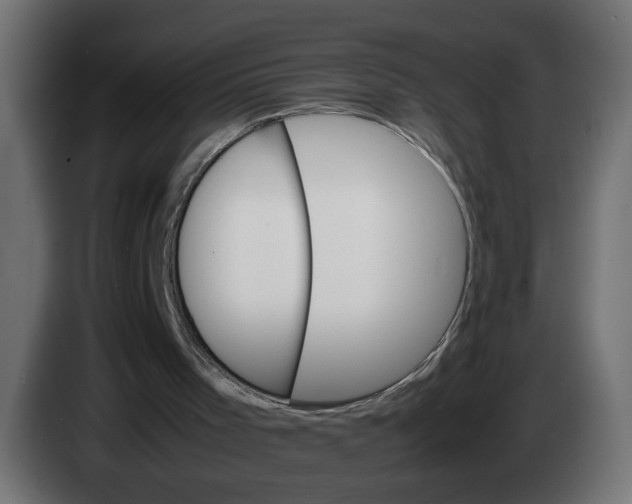 X0000083560001200703021732