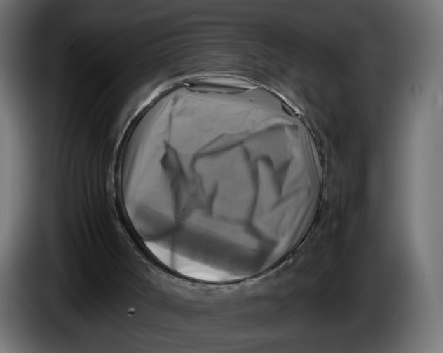 X0000083560002200703021732