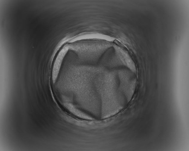 X0000083560003200703021732