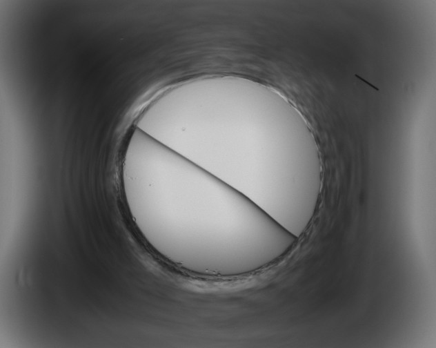 X0000083560005200703021732