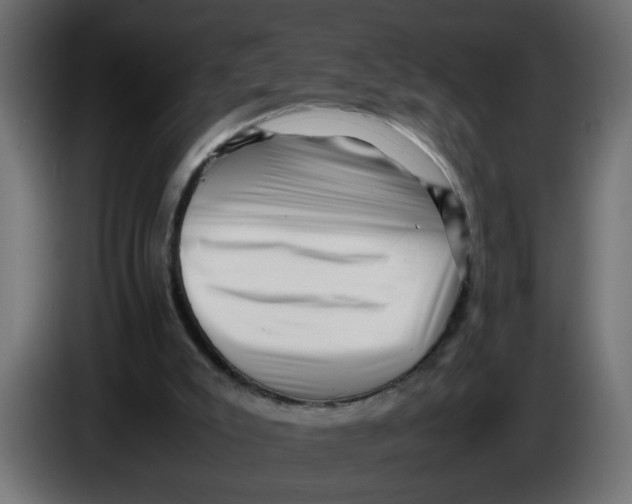 X0000083560007200703021732