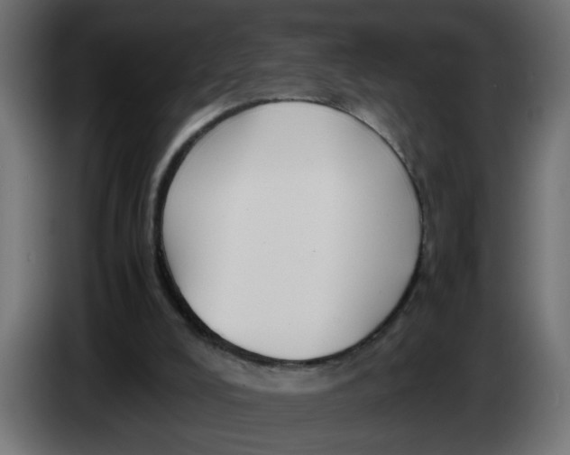 X0000083560008200703021732