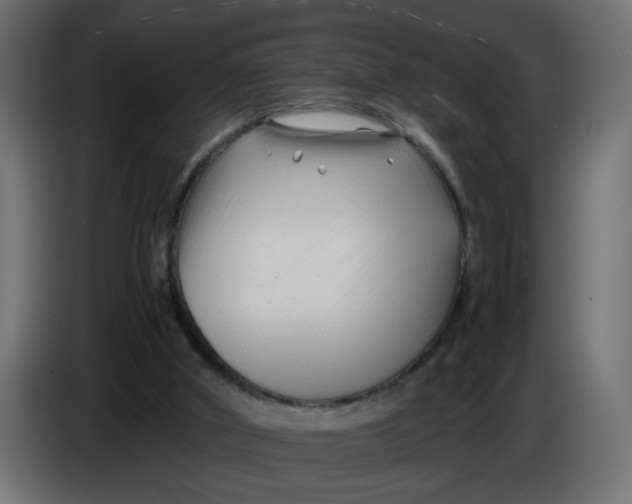 X0000083560010200703021732