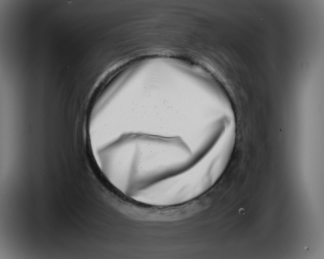 X0000083560011200703021732