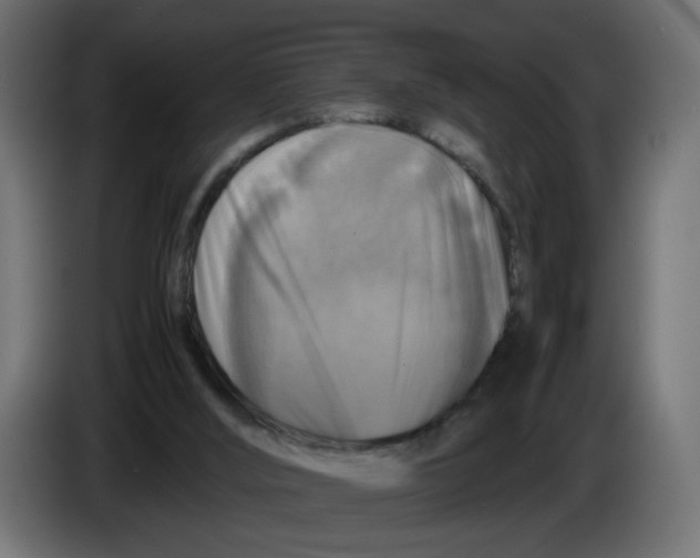 X0000083560012200703021732