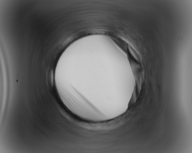 X0000083560013200703021732