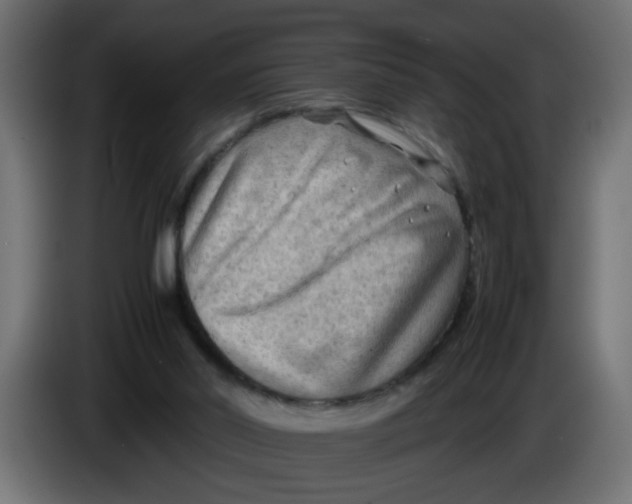 X0000083560014200703021732