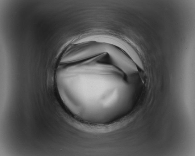 X0000083560015200703021732