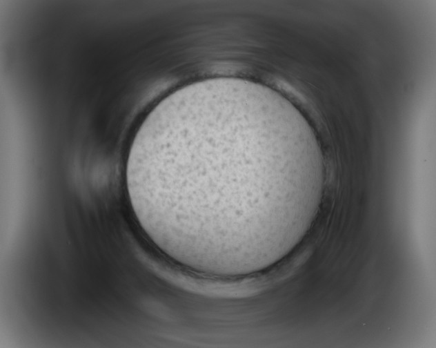 X0000083560016200703021732