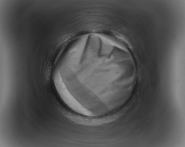 X0000083560018200703021732