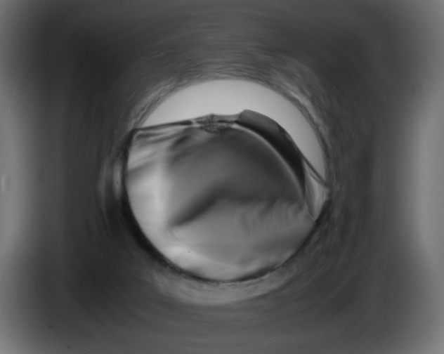 X0000083560019200703021732