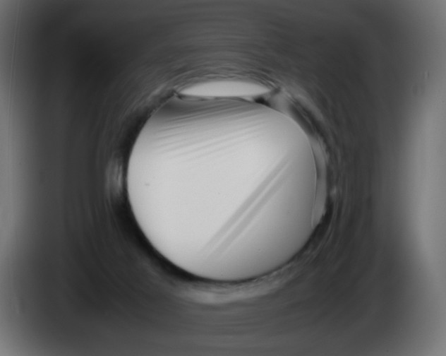 X0000083560021200703021732