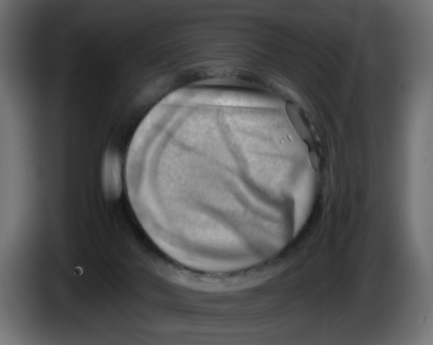 X0000083560022200703021732