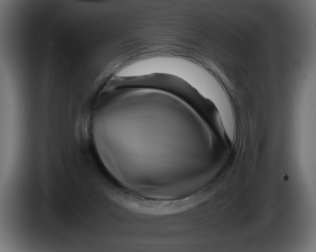 X0000083560023200703021732