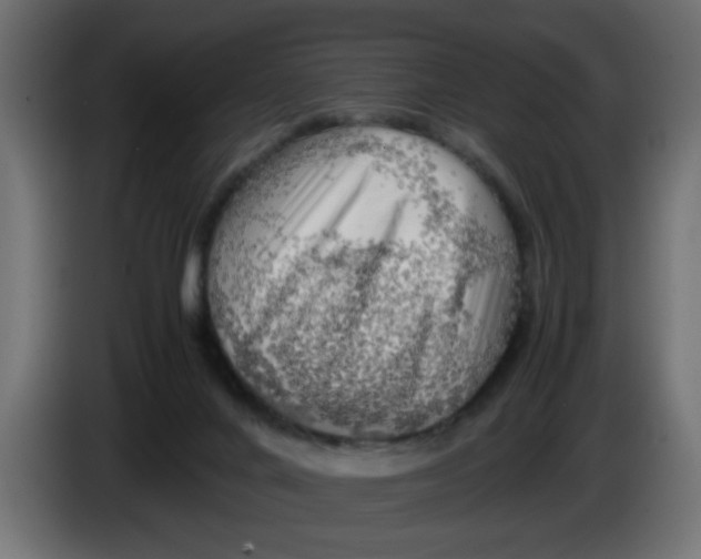 X0000083560024200703021732