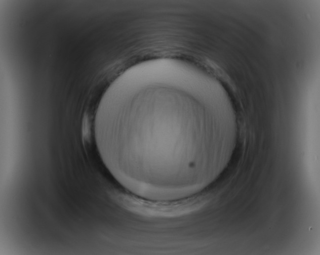 X0000083560026200703021732