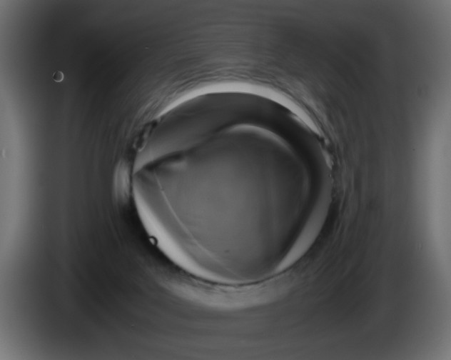 X0000083560027200703021732