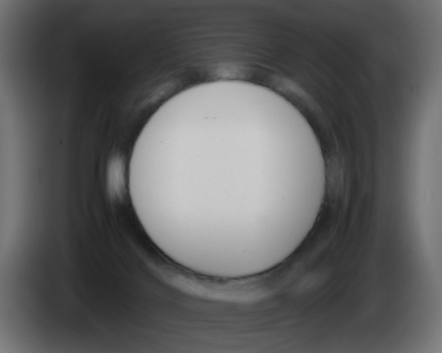 X0000083560028200703021732