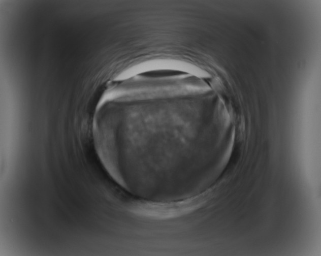 X0000083560029200703021732