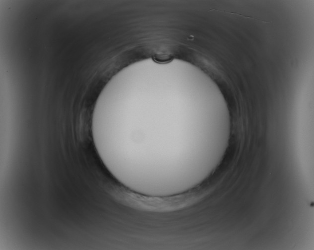 X0000083560030200703021732