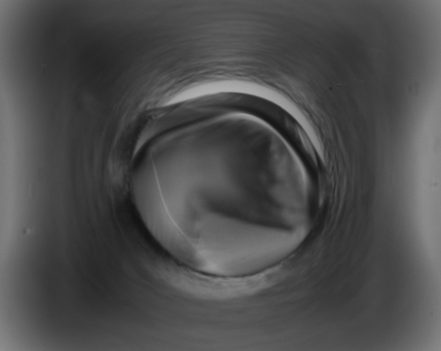 X0000083560031200703021732