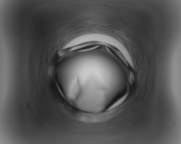 X0000083560033200703021732