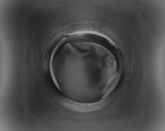 X0000083560035200703021732