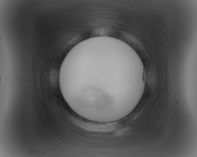 X0000083560036200703021731