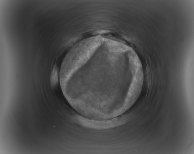 X0000083560042200703021731