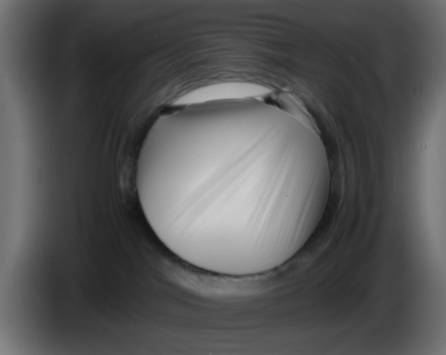 X0000083560044200703021731