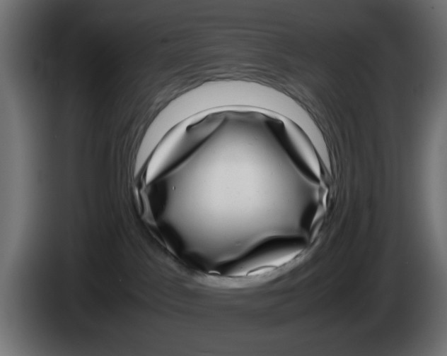 X0000083560045200703021731