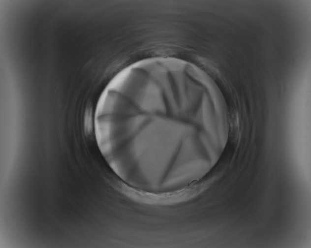 X0000083560046200703021731