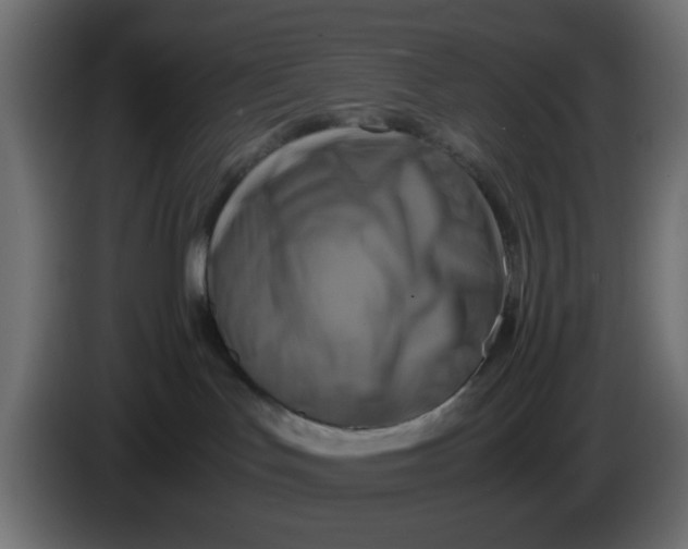 X0000083560047200703021731