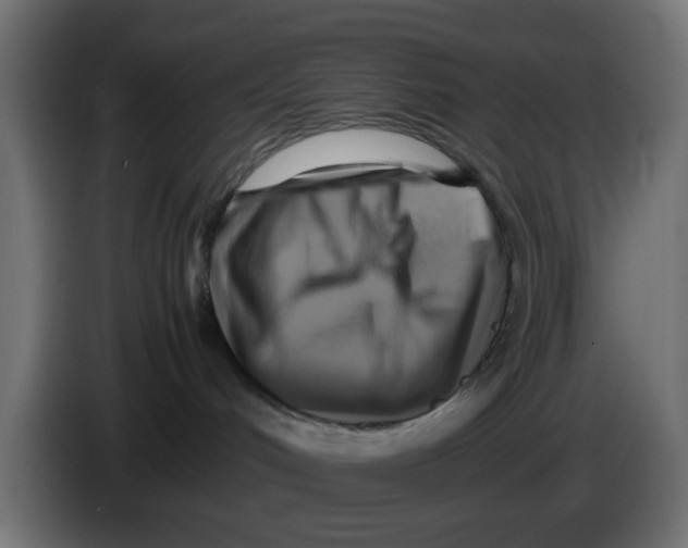 X0000083560048200703021731