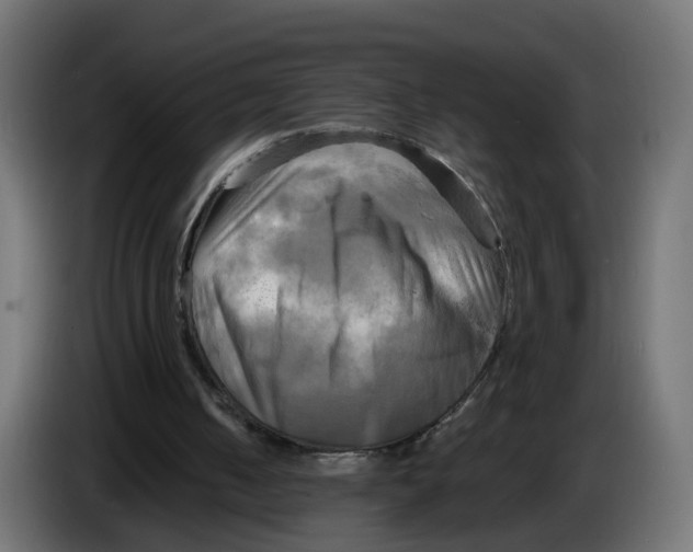 X0000083560050200703021730