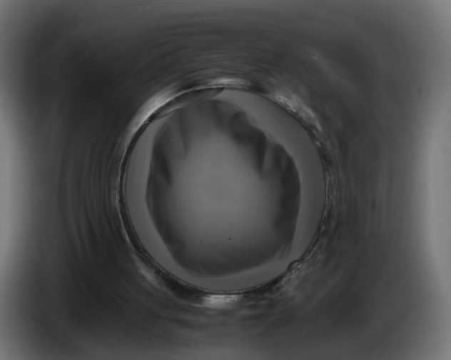 X0000083560051200703021730