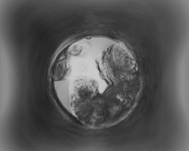 X0000083560053200703021730