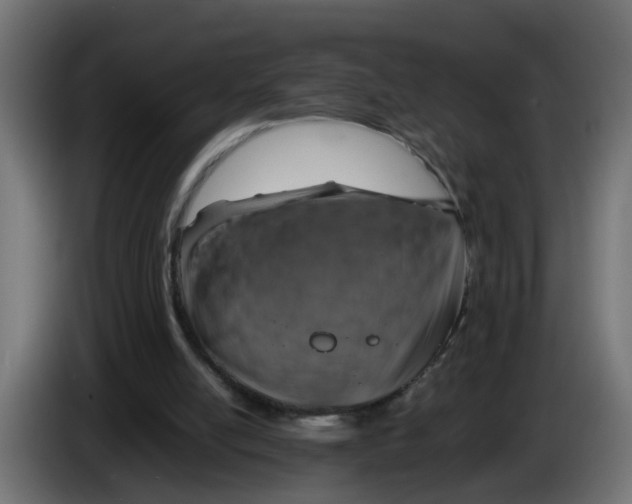 X0000083560054200703021731