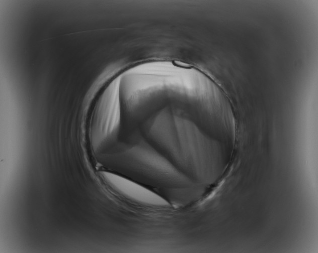 X0000083560055200703021731